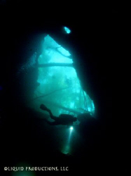 Diver checks out the massive cavern at Buford spring, a h... by Becky Kagan 